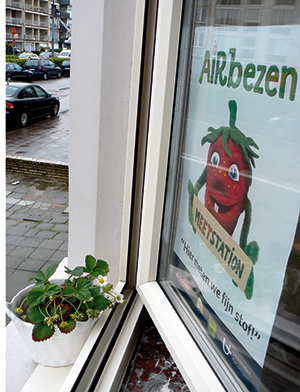 Met de hulp van vrijwilligers en aardbeienplantjes steeg het aantal meetpunten voor luchtvervuiling in Antwerpen van vier naar vierhonderd.