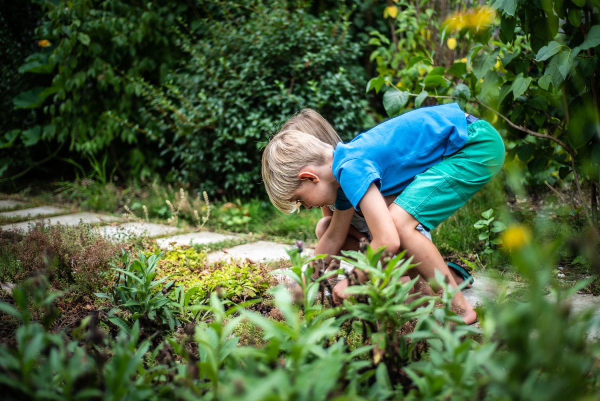 mijn tuinlab