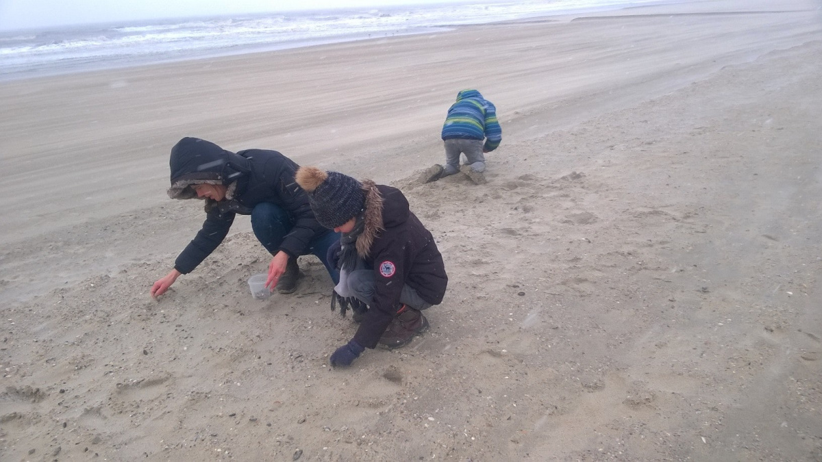 tellers op strand