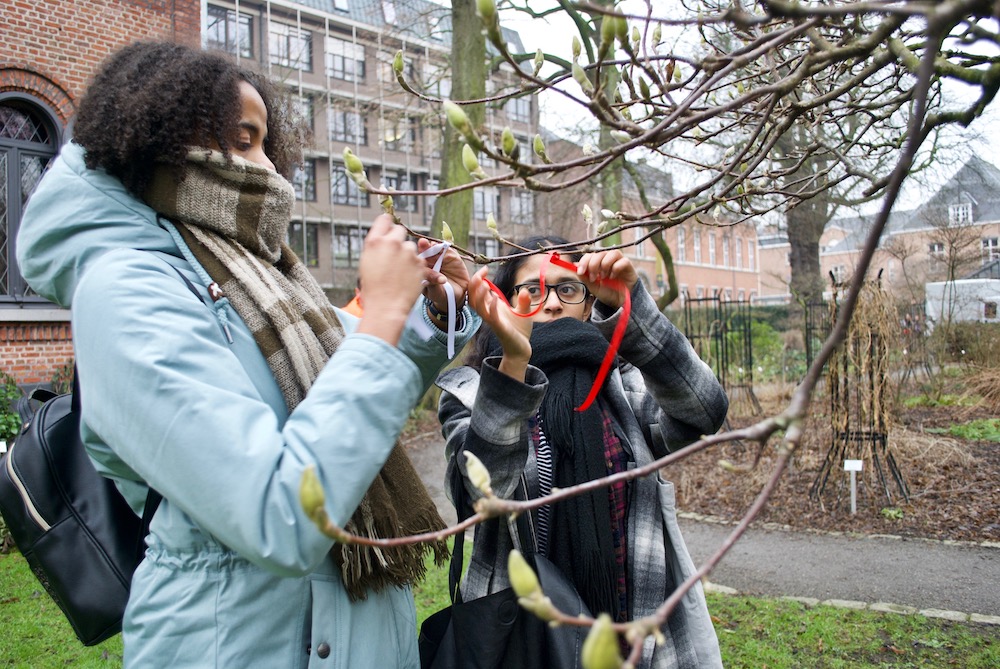 Wendy Da Cruz knappe knoppen